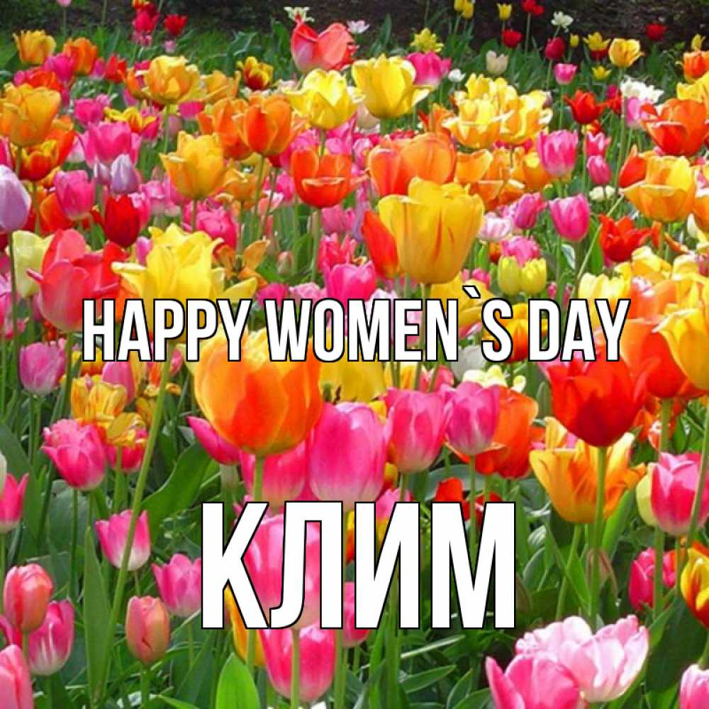 Greetings card с именем, Клим happy women`s day на международный женский день Greetings with text for free download 